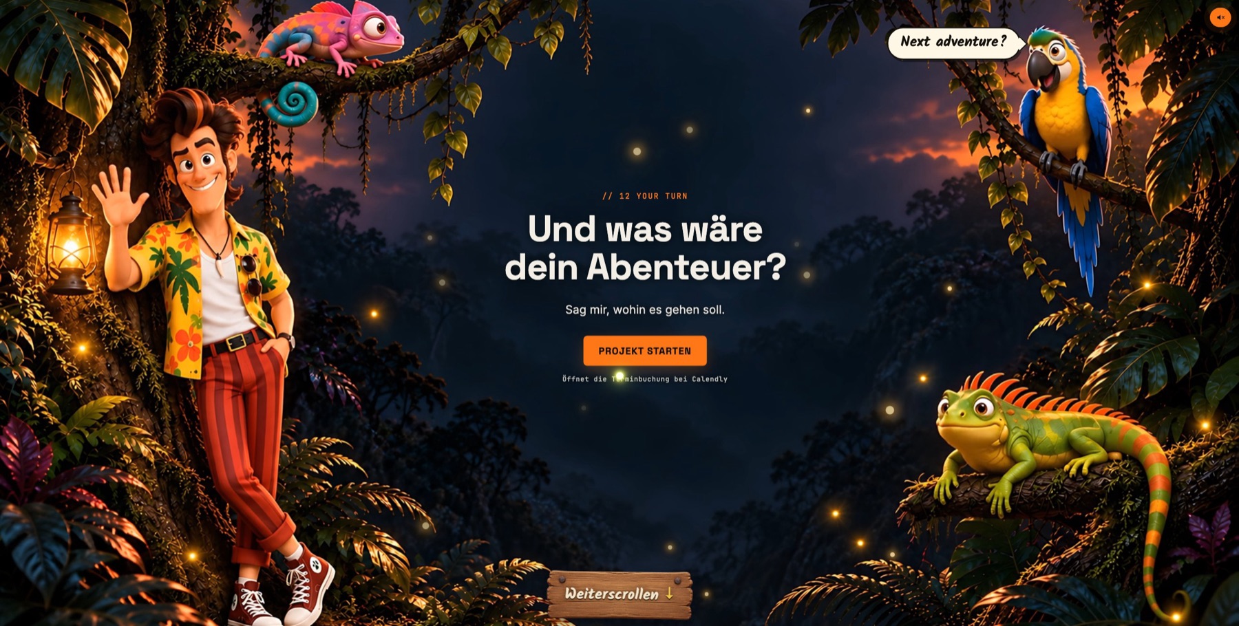 The Next Adventure — The end of the site: all four appear, then the question from the start turns round — now the site asks about your adventure